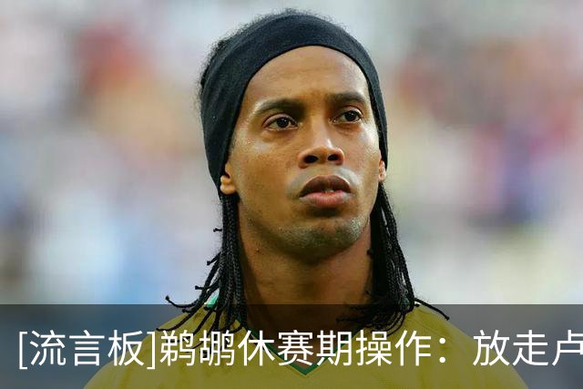 [流言板]鹈鹕休赛期操作：放走卢尼，续约小乔丹、签约科比-巴夫金